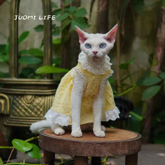 German Shorthair Cat Summer Bubble Cotton Yellow Floral Puffy Lace Heml's Dress Cats Clothes Kawaii Clothes