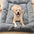 Oversized Plush Dog Cat Bed Sofa Crate Pad Ultra Soft Polyester Pet Mat for All Size Cats Dogs Adorable Rectangle Couch