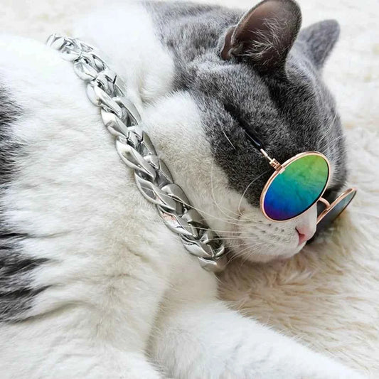 Gold Chain Pet Necklace for Cats and Small Dogs Fashionable Chunky Link Collar for Photo Shoots Daily Wear Party Costume