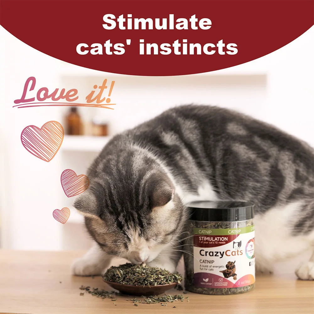 Organic 100% Natural High Quality Catnip Cattle Grass Mint Taste Funny Cat Toy New Cat Toy Interactive Cat Toys Pet Supplies