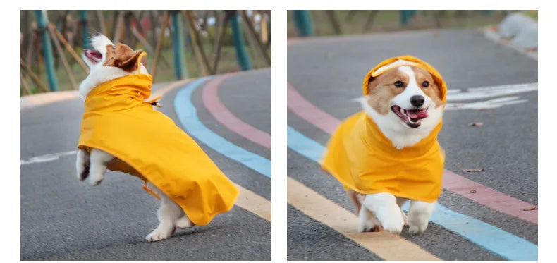 Teddy Cgi Golden Dog Clothes Egg Olk Man PU Waterproof Jacket Dog Raincoat Pet Supplies Waterproof Outdoor