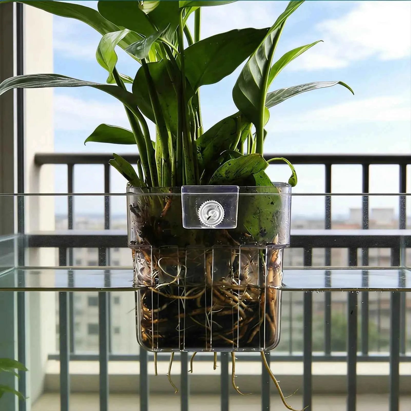 Transparent Hangable Aquarium Plant Holder Pot for Fish Tank Hydroponic System Indoor Workplace Decor Cultivation Decorations