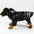 Dog Clothes Hooded Raincoats Reflective Strip Dogs Rain Coat Waterproof Jackets Outdoor Breathable Clothes For Puppies Raincoat