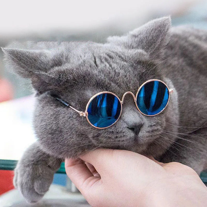 Puppy Dog Sunglasses Anti-skid Round Metal Cat Classic Retro Sunglasses Hippie Cute and Funny Pet Glasses Cosplay Party Costume