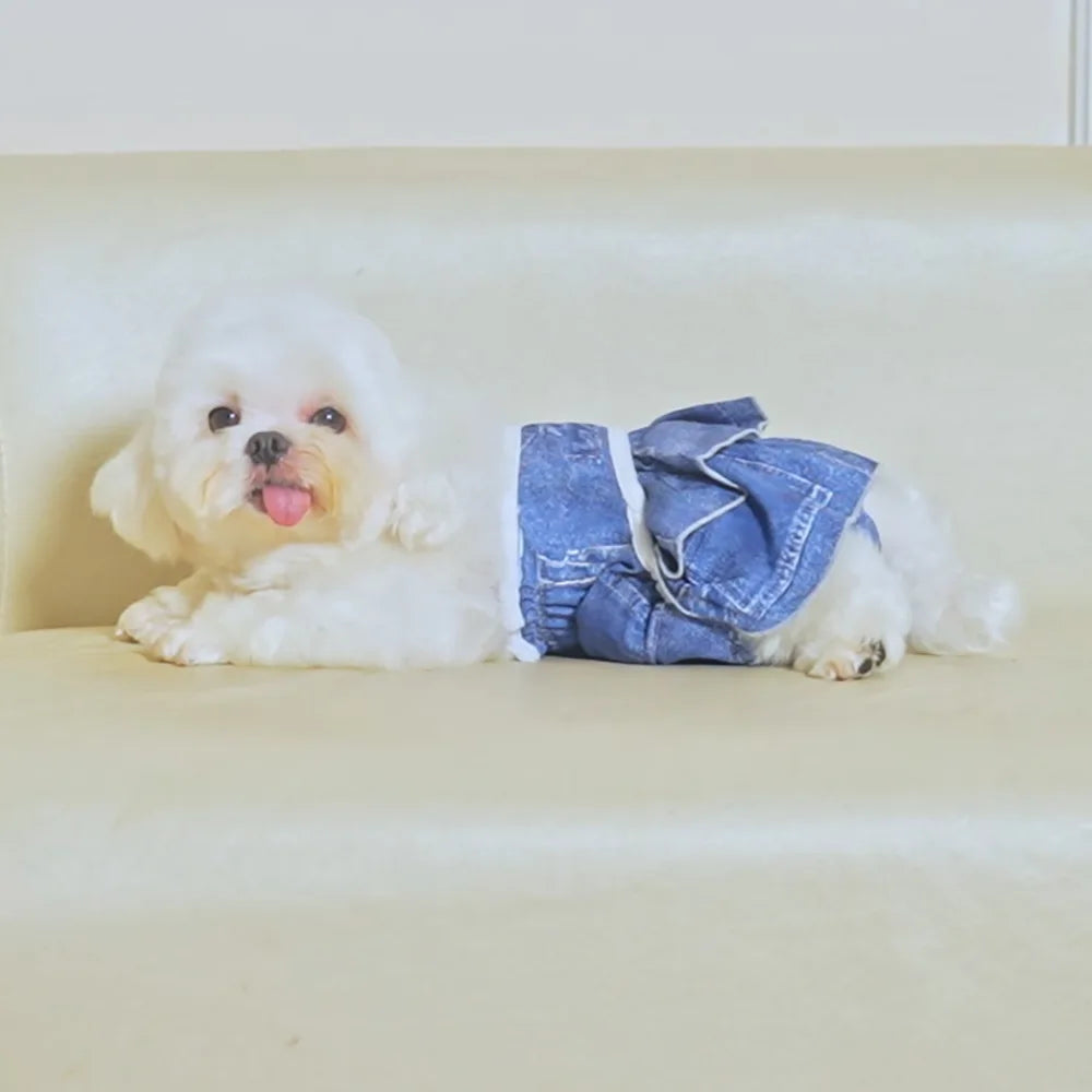 Reusable Female Dog Diapers Washable Premium Doggie Diaper for Girls Dogs Highly Absorbent Dog Shorts for Pet Heat Incontinence