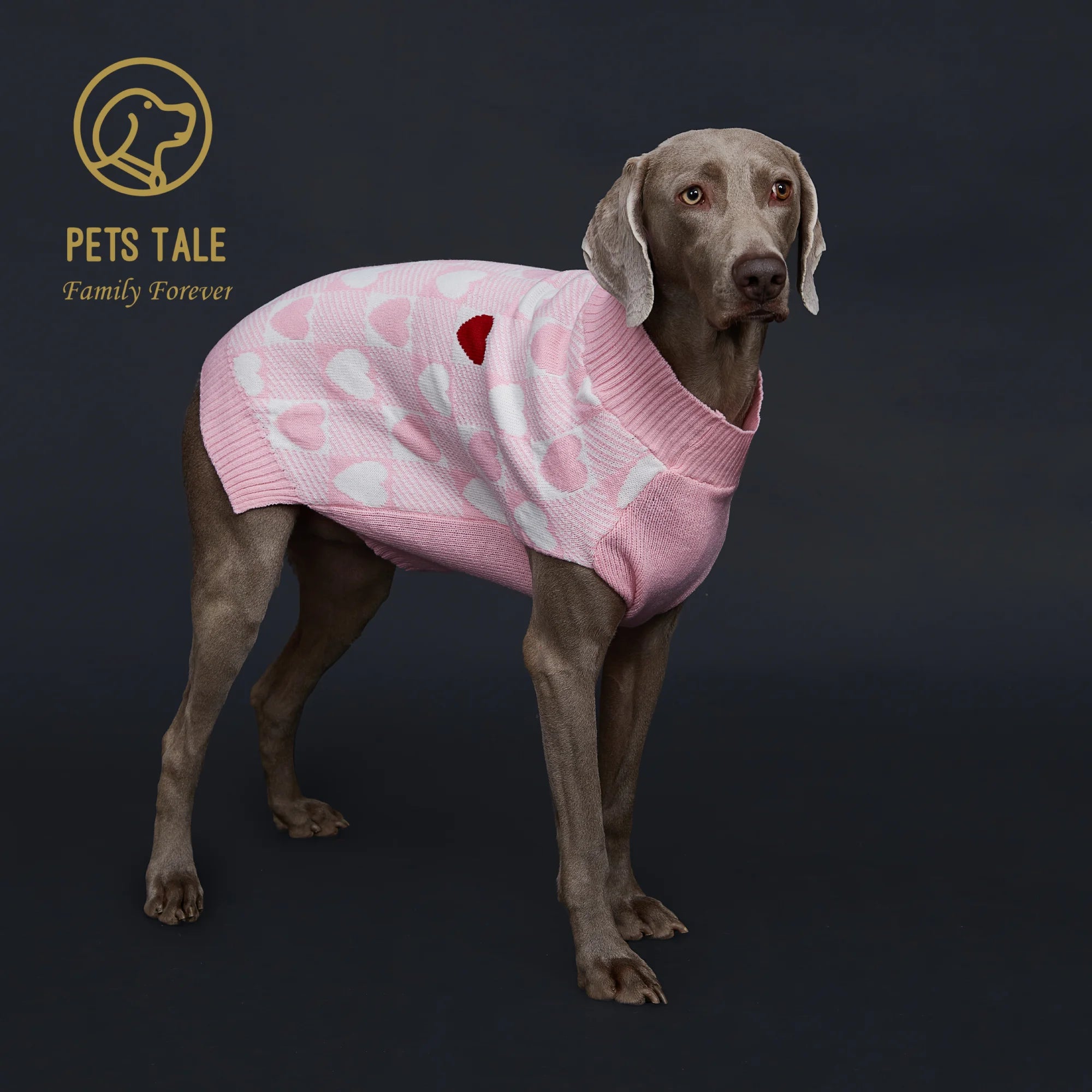 Buffalo Check Love-Heart Intarsia D-Ring Hole Dog Sweater