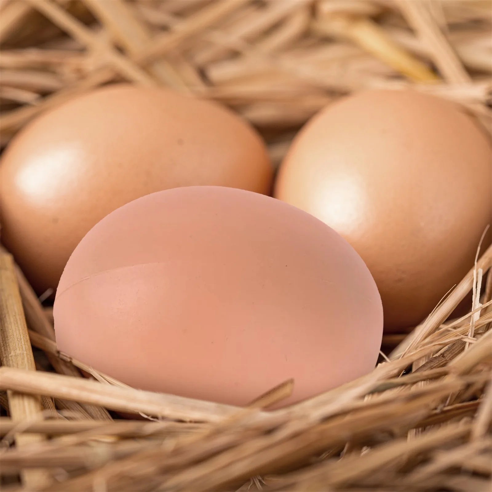 6pcs Plastic Eggs Chicken House Small Fake Eggs Farm Animal Supplies Cages Accessories Guide Chicken Nest Egg Painting
