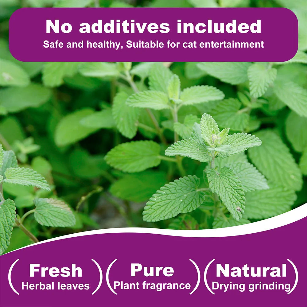 Organic 100% Natural High Quality Catnip Cattle Grass Mint Taste Funny Cat Toy New Cat Toy Interactive Cat Toys Pet Supplies