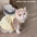 Fashion Dot Pet Dog Dress Sleeveless Summer Clothes Cat Princess Dresses Slim Style Pet Clothes Chihuahua Bichon French Bulldog
