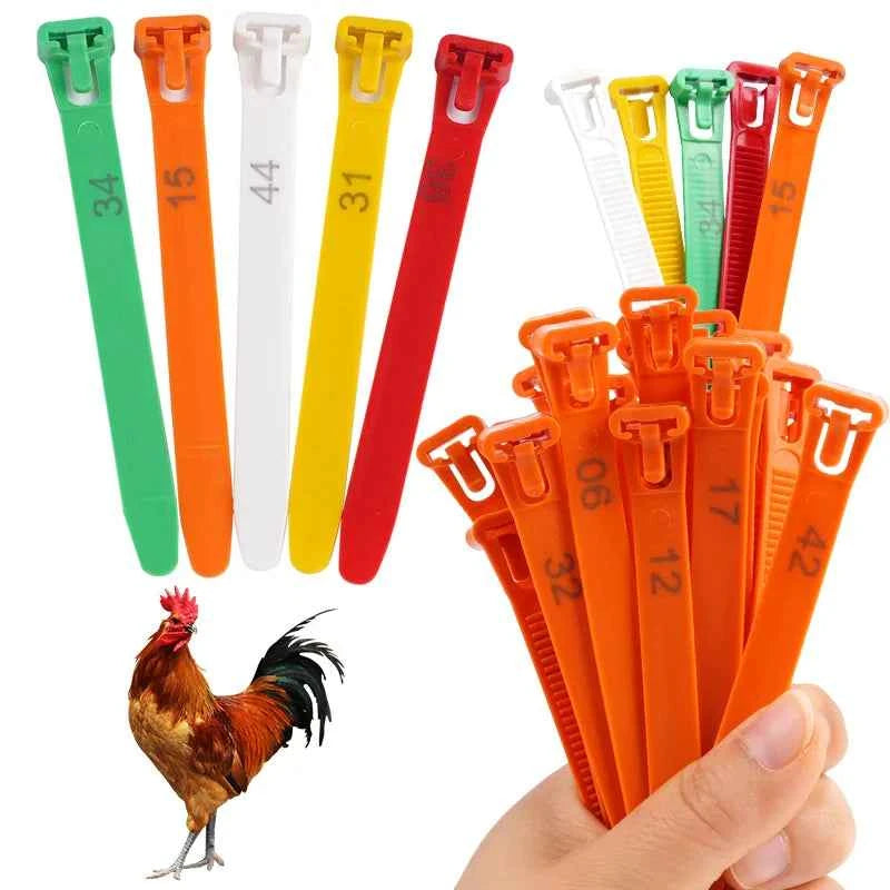 50/100Pcs Chicken Foot Ring Adjustable Cable Tie farm Animals Poultry Breeding Label Turkey Mark Foot Ring Identity Recognition