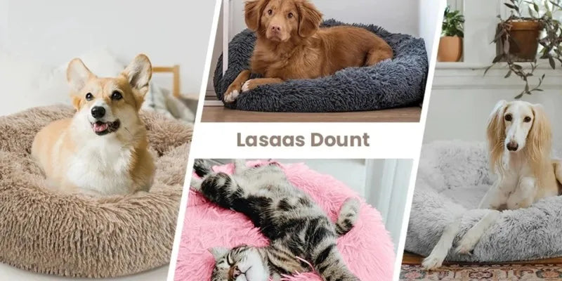 Super Soft Pet Cat Bed Plush Full Size Washable Calm Bed Donut Bed Comfortable Sleeping Artifact Suitable For Winter - Play Paws Toys