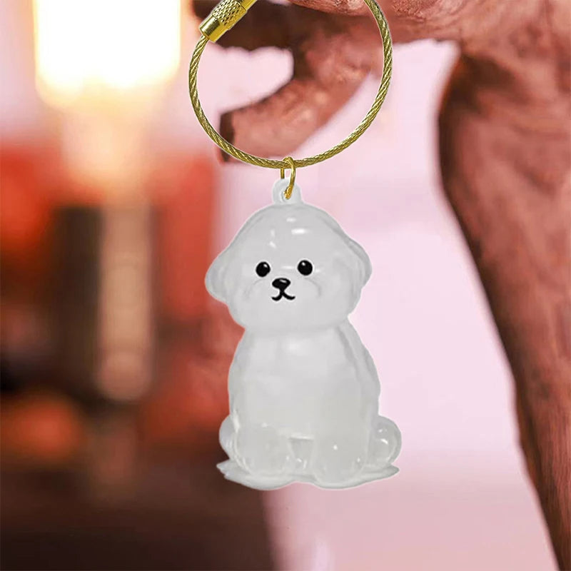 Clear Pet Hair Memorial Keepsake Capsule Dog Fur Container DIY Pendant Keychain Decor Animal Lovers Home Display Gift Idea