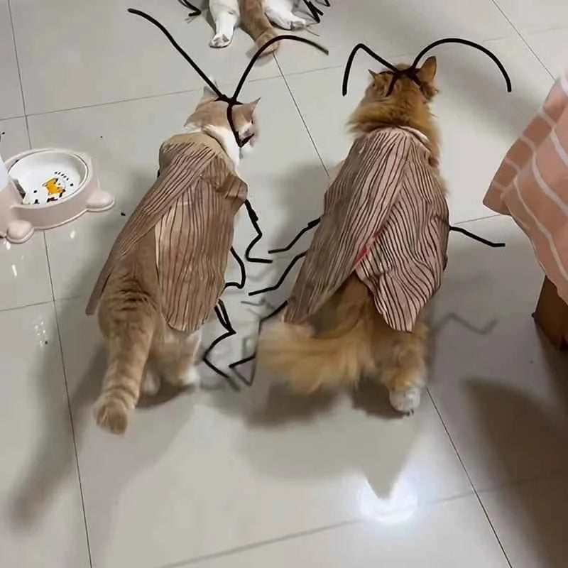 Supplies Cat Cosplay Dress Up Cockroach Costume Pet Breathable Clothing Funny Party Decor Outfit Uniform Pet