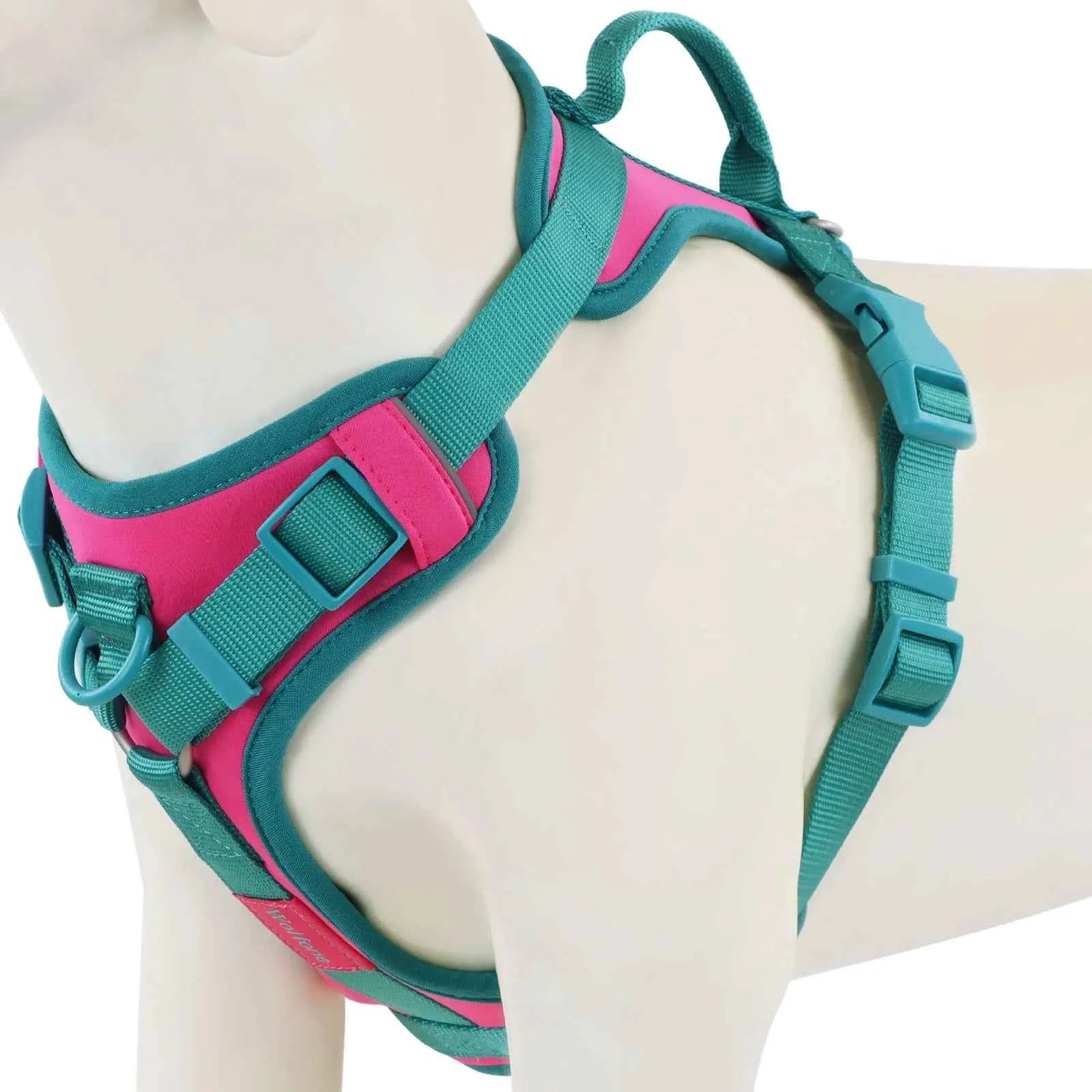 Splicing Colors Breathable For Medium No Pull Dog Harness for large Small dogs Adjustable Chest Strap Dog Harness Personalized