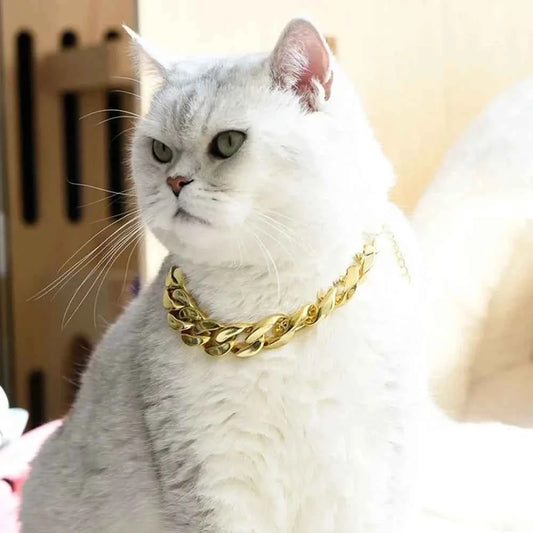Gold Chain Pet Necklace for Cats and Small Dogs Fashionable Chunky Link Collar for Photo Shoots Daily Wear Party Costume