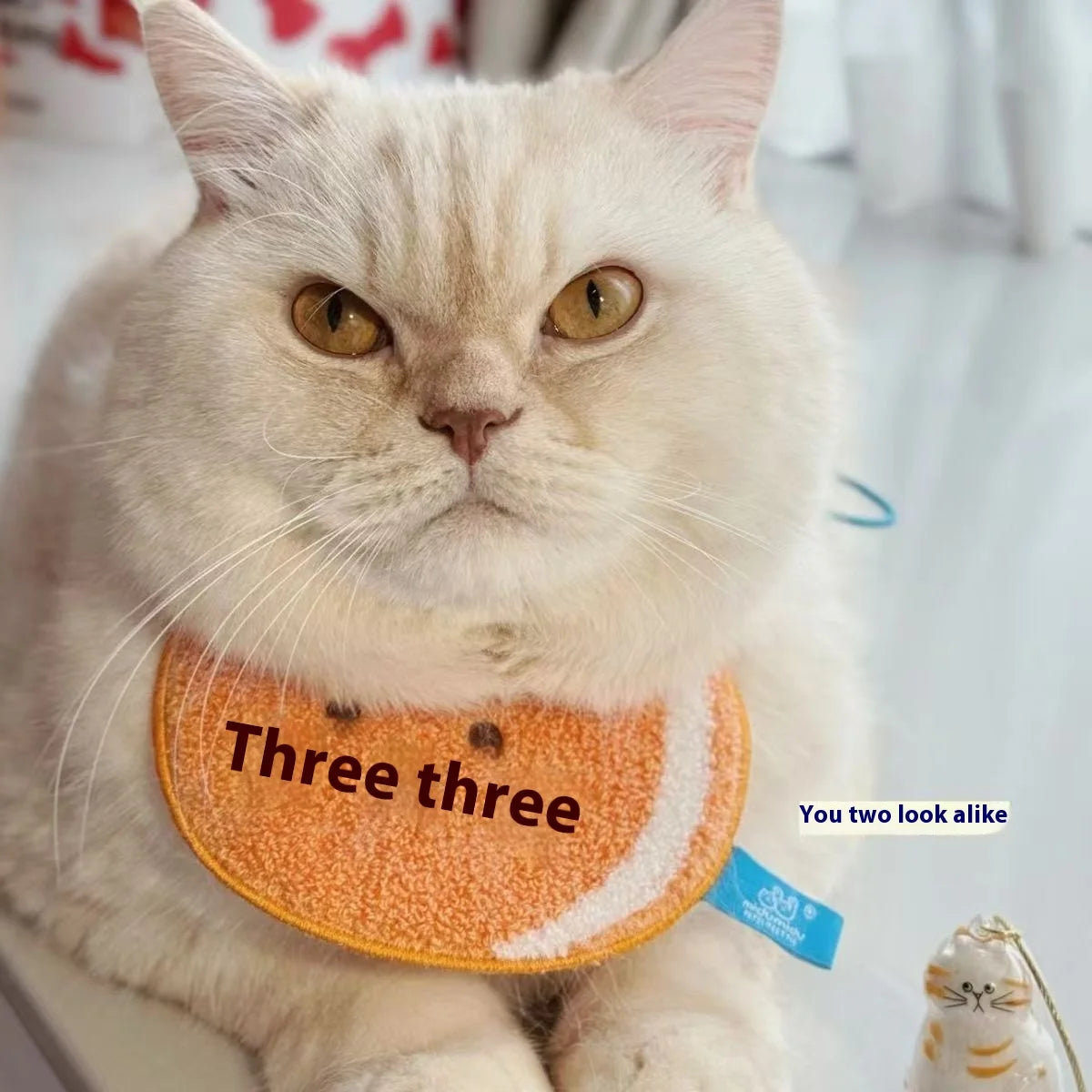 Transparent Cat Hair Storage Box Charm Gacha Cat Hair Storage Capsule Commemorative Collection Bag Keychain Pendant - Play Paws Toys