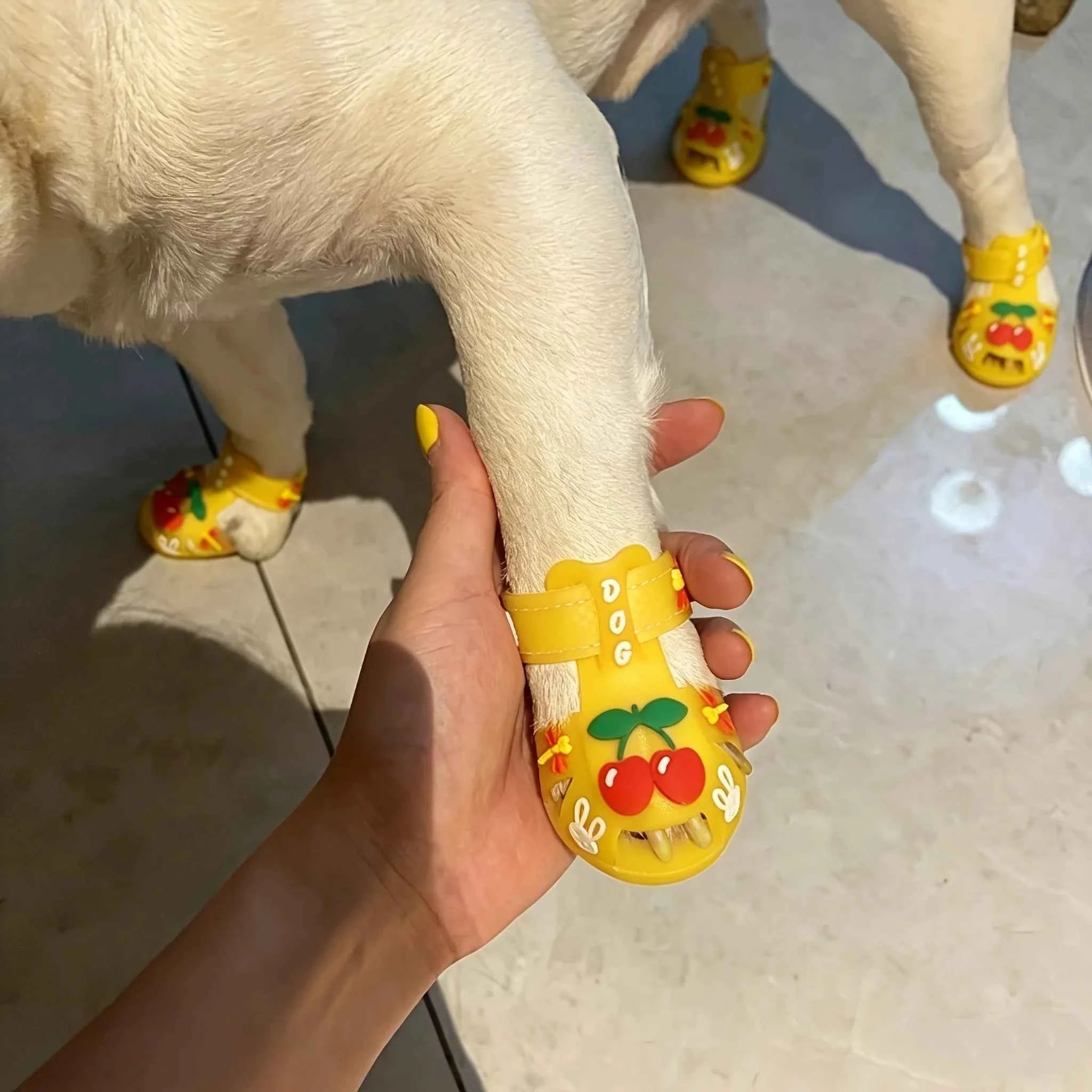 Small dog pet jelly sandals rain shoes teddy bear outdoor sandals pet shoes silicone cool pet shoes dog shoes