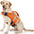 Ensure Your Dog's Water Adventures are Safe and Stylish: Premium Waterproof Dog Life Jacket with Reflective Stripes, Extra Stick