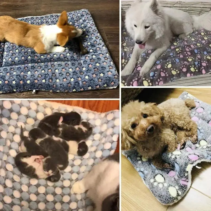 Pet Sleeping Mat Dog Bed Cat Bed Soft Hair Thickened Blanket Pad Fleece Home Washable Warm Bear Pattern Blanket Pet Supplies - Play Paws Toys