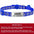 Custom Reflective Cat Collar - Personalized Name Tag & Bell Breakaway Adjustable Anti-Lost Design with Paw Print Collar for Cats