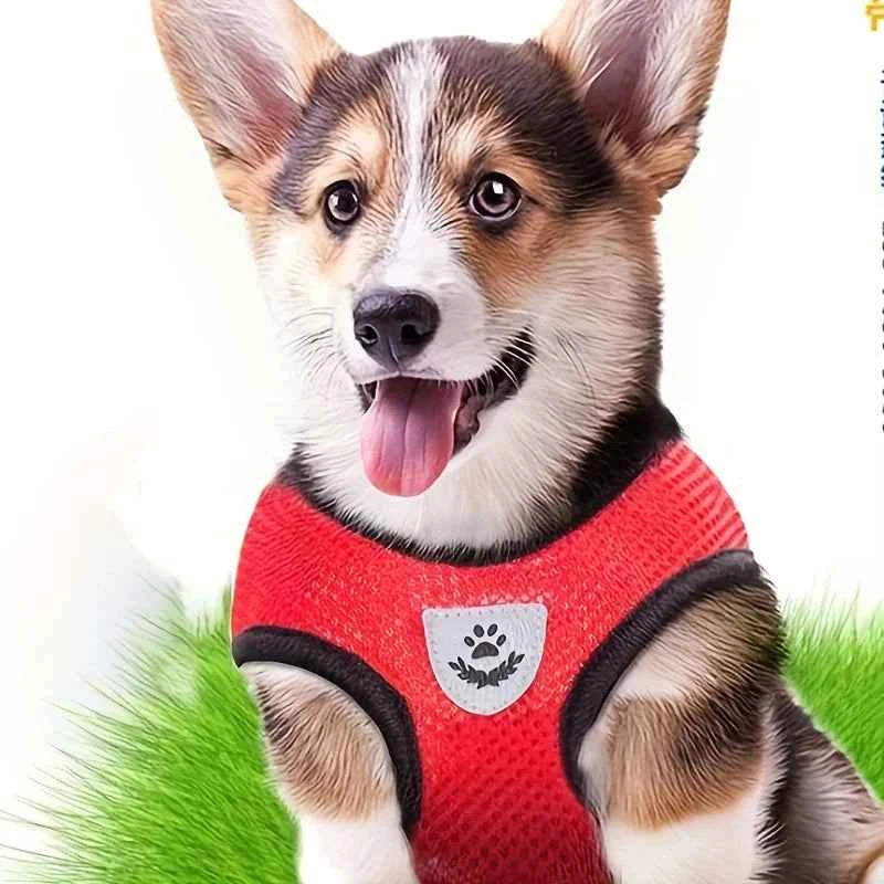Cat Harness Adjustable, Escape-Proof Breathable Mesh with Reflective Vest  5-Foot Leash - Safe, Durable Outdoor Adventures