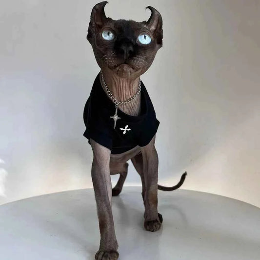 Sphynx Cat Clothes Winter Black Cotton T-Shirts , Pullover Kitten Shirts with Short-Sleeve, Hairless Pajamas Apparel for Cats
