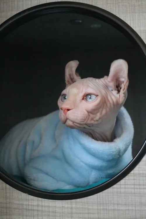 Fashionable Clothes For Cats Sphynx Cat Sweater Kitten Clothing Hound Dog Hoodie Clothes For Sphinx Cat Outfit Pet Jumpsuits - Play Paws Toys