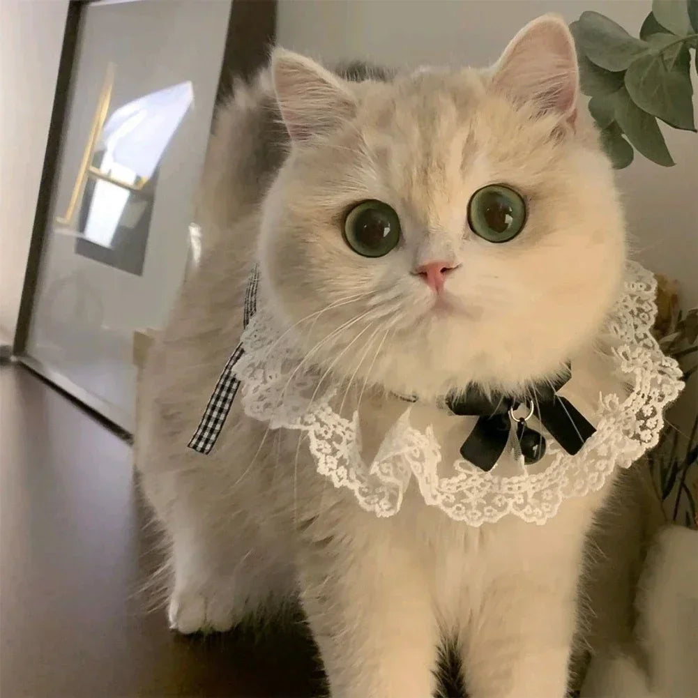 Cute Dog Collar Lace Bowknot Pearl Cat Necklace Sweet Neck Decoration Elegant Gentle Puppy Necktie Kitten Bibs Pet Supplies