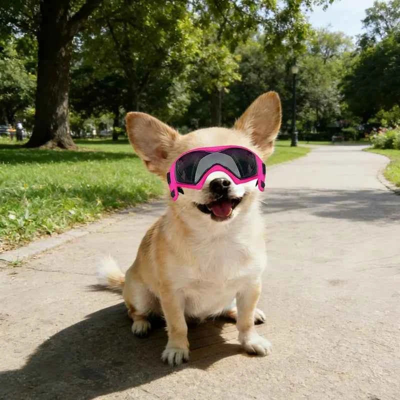 UV Protective Puppy Goggles Cool Protection Eyewear Dog Cat Sunglass for Small Dog Outdoor Riding Pets Decoration Accessory