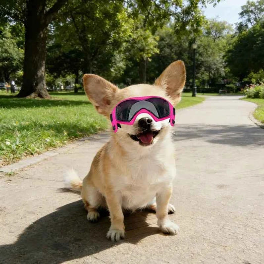 UV Protective Puppy Goggles Cool Protection Eyewear Dog Cat Sunglass for Small Dog Outdoor Riding Pets Decoration Accessory