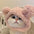 Funny Pet Headband Plush Yarn Panda Pig Chick Cat Dog Warm Cosplay Costume Headdress for Cats Dogs Pets Supplies Accessories