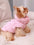 Dog Jacket For Autumn/Winter, Pet Coat, 3-Layer Thick Warm Outerwear, Suitable For Small To Medium Dogs Like Poodle, Teddy, York