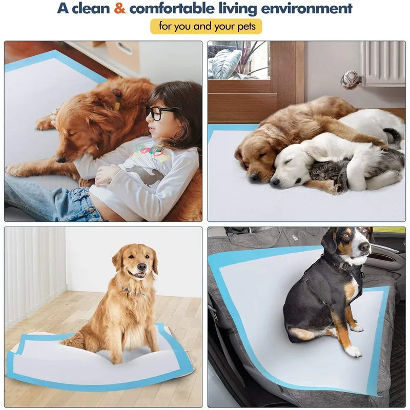 Diapers For Dogs Pet Disposable Nappy Mat Dog Diapers Absorbent Disposable Diapers Absorbent Pet Toilet Cat Disposable Nappy Mat