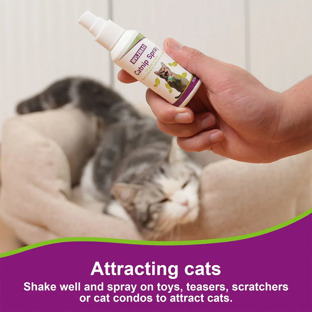 Organic 100% Natural High Quality Catnip Cattle Grass Mint Taste Funny Cat Toy New Cat Toy Interactive Cat Toys Pet Supplies