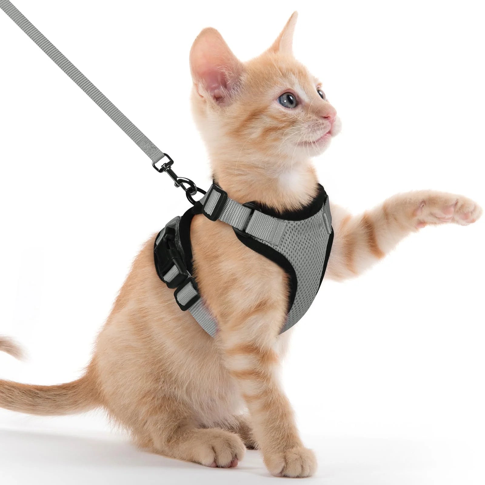 Cat Harness Lead Leash Set Adjustable Reflective Escape Proof Pet Mesh Vest Harness Puppy Dog Collar Small Dog Cat Pet Supplies - Play Paws Toys