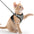 Cat Harness Lead Leash Set Adjustable Reflective Escape Proof Pet Mesh Vest Harness Puppy Dog Collar Small Dog Cat Pet Supplies - Play Paws Toys
