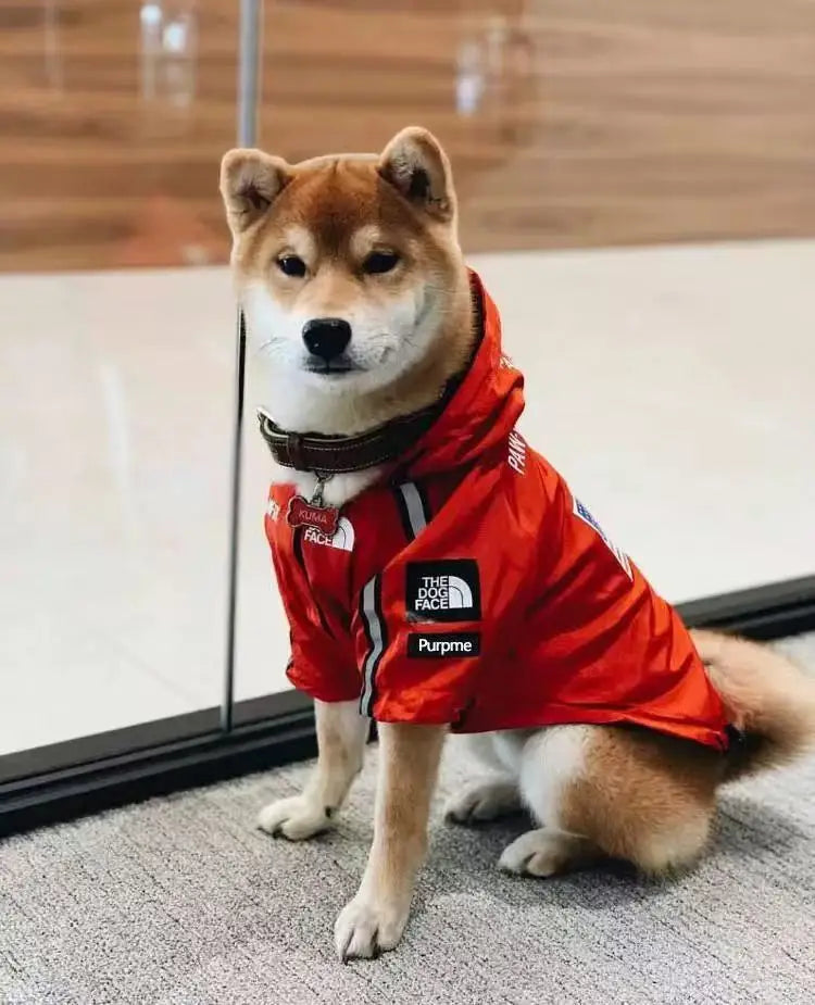 Pet Dog Waterproof Coat Dog Raincoat Reflective Dog Outdoor Clothes Hooded Jacket for Small Medium Large Dog Pet Supplies