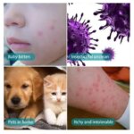 100ml Pet Expel Fleas Lice Treatments Spray Quick And Handy Fleas Ticks Expellent For Dogs Cats Pet Health Supplies - Image 3