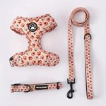 Harness for Cats Collar, Harness, Leash Accessories Pets Goods Kitten Pet Products Things Breast-band Supplies Kittens