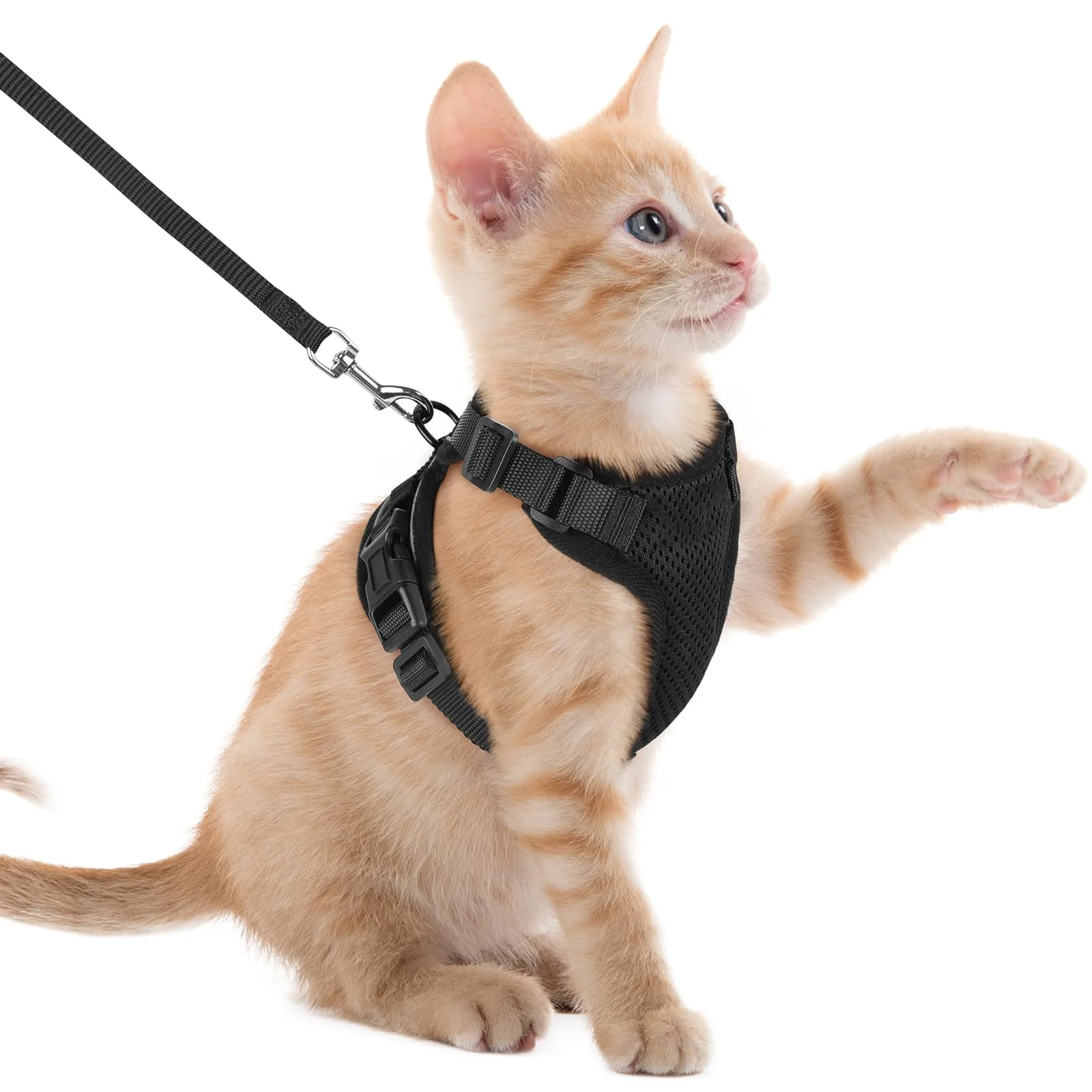 Cat Harness Lead Leash Set Adjustable Reflective Escape Proof Pet Mesh Vest Harness Puppy Dog Collar Small Dog Cat Pet Supplies