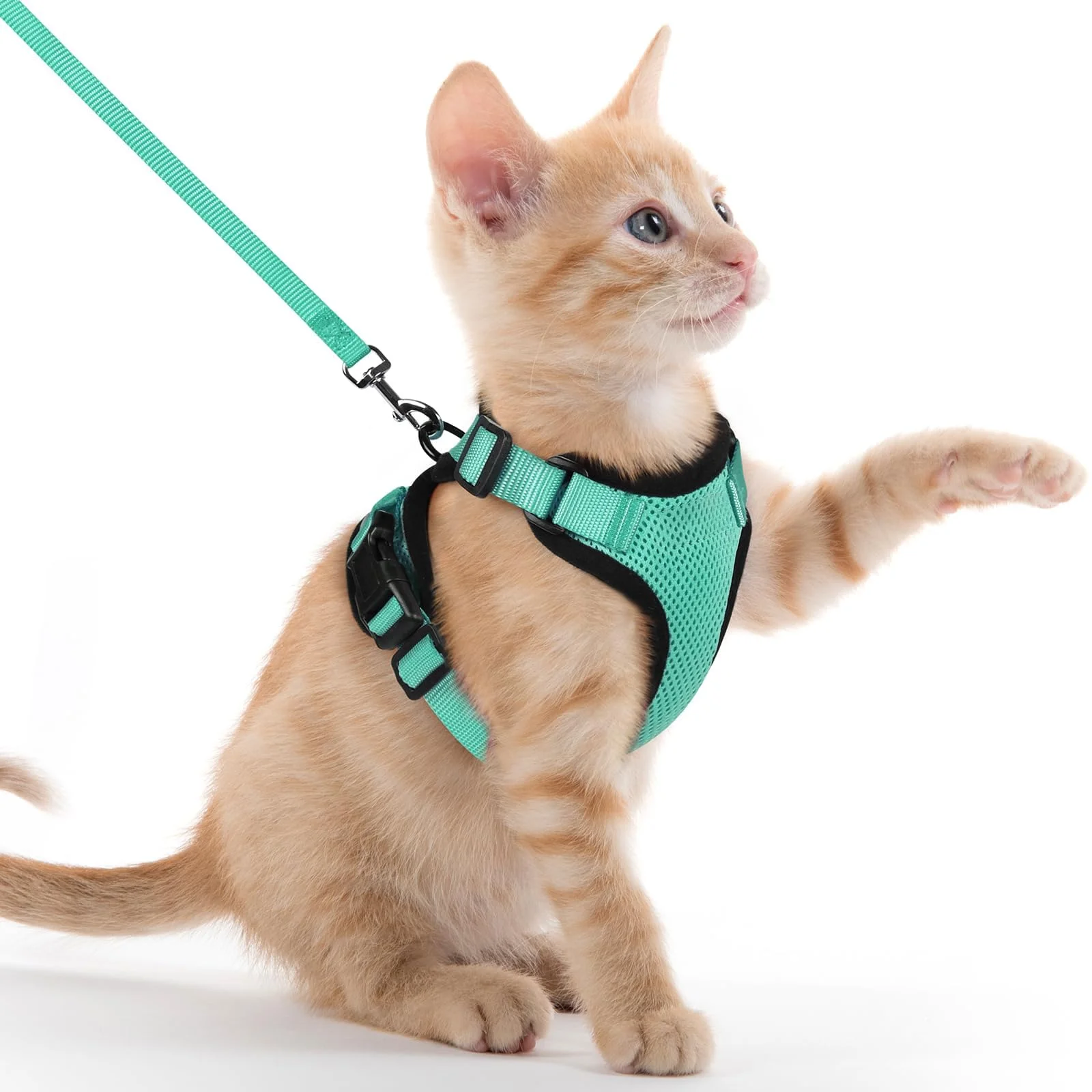 Cat Harness Lead Leash Set Adjustable Reflective Escape Proof Pet Mesh Vest Harness Puppy Dog Collar Small Dog Cat Pet Supplies