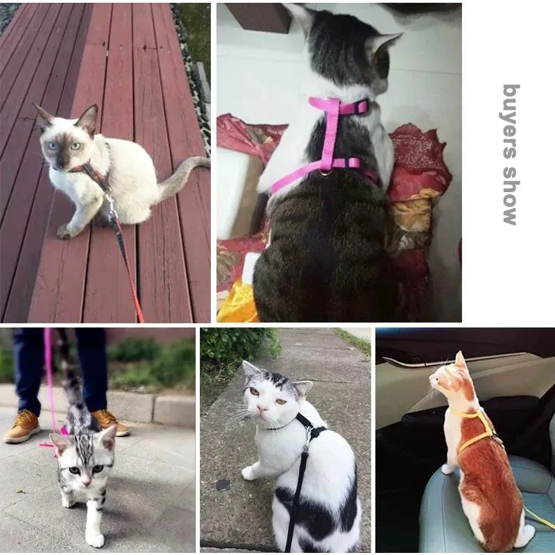 Escape-proof Small Dog Cat Harness Collar with Leash Set H Shape Choke Free Puppy Kitten Harness Soft Nylon Strap Collar for Pet Escape-proof Small Dog Cat Harness Collar with Leash Set H Shape Choke Free Puppy Kitten Harness Soft Nylon Strap Collar for Pet
