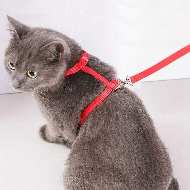 Adjustable Cat Harness Nylon Strap Collar with Leash Escape Proof Kitten Collar for Walking Small Pet Rabbit Lightweight Harness Adjustable Cat Harness Nylon Strap Collar with Leash Escape Proof Kitten Collar for Walking Small Pet Rabbit Lightweight Harness