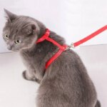 Adjustable Cat Harness Nylon Strap Collar with Leash Escape Proof Kitten Collar for Walking Small Pet Rabbit Lightweight Harness - Image 4