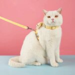 Cat Harness Leash Collar Set Adjustable Cartoon Bee Double Layer Dog Harness for Small Medium Pet Collar Leash Outdoor Walking - Image 5