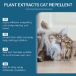Indoor Cat Repellent Spray Anti-Scratching Anti-Chewing Behavior Corrector Pet Repelling Cats Deterrents Spray Pet Product 100ml - Image 5