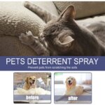 Cats Anti Scratch Spray Natural Scratching Chewing Training Spray No Stimulation Orange Fragrance Sofa Furniture Protectors - Image 5