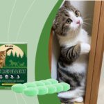 EelJoy Cat Deterrent Outdoor Indoor Natural Peppermint Oil Cat Deterrent Ball Dog Repellent Keep Cats Off Lawn Yard Garden 10pcs - Image 2