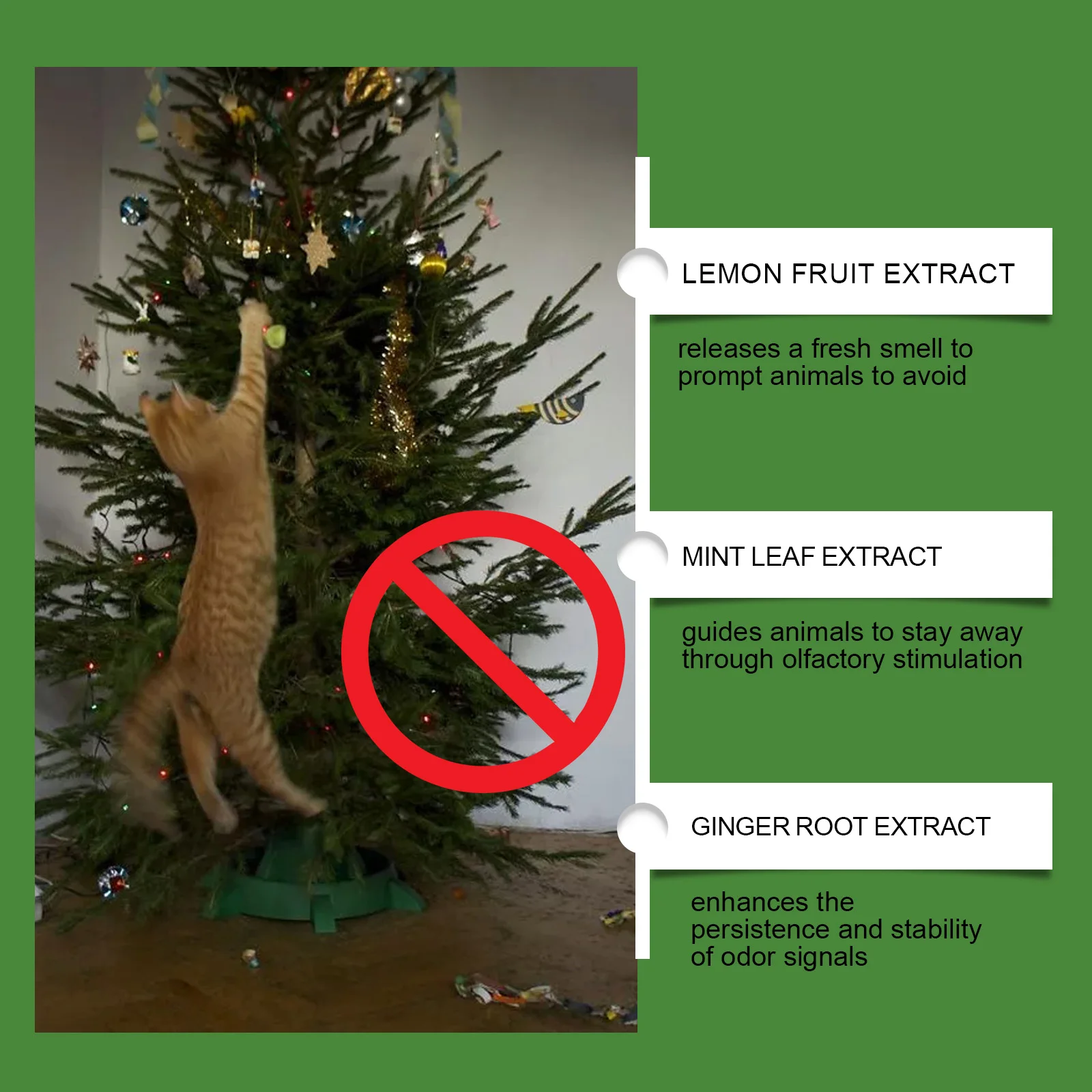 EelJoy Cat Deterrent Outdoor Indoor Natural Peppermint Oil Cat Deterrent Ball Dog Repellent Keep Cats Off Lawn Yard Garden 10pcs EelJoy Cat Deterrent Outdoor Indoor Natural Peppermint Oil Cat Deterrent Ball Dog Repellent Keep Cats Off Lawn Yard Garden 10pcs