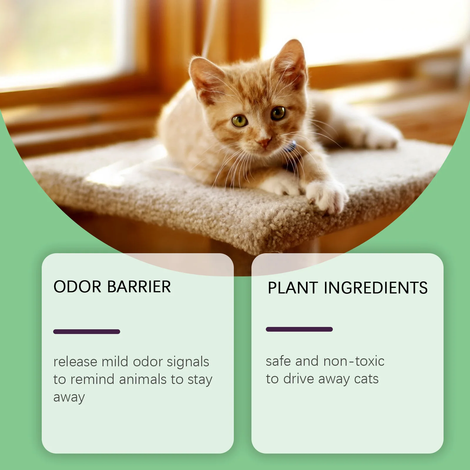 EelJoy Cat Deterrent Outdoor Indoor Natural Peppermint Oil Cat Deterrent Ball Dog Repellent Keep Cats Off Lawn Yard Garden 10pcs EelJoy Cat Deterrent Outdoor Indoor Natural Peppermint Oil Cat Deterrent Ball Dog Repellent Keep Cats Off Lawn Yard Garden 10pcs